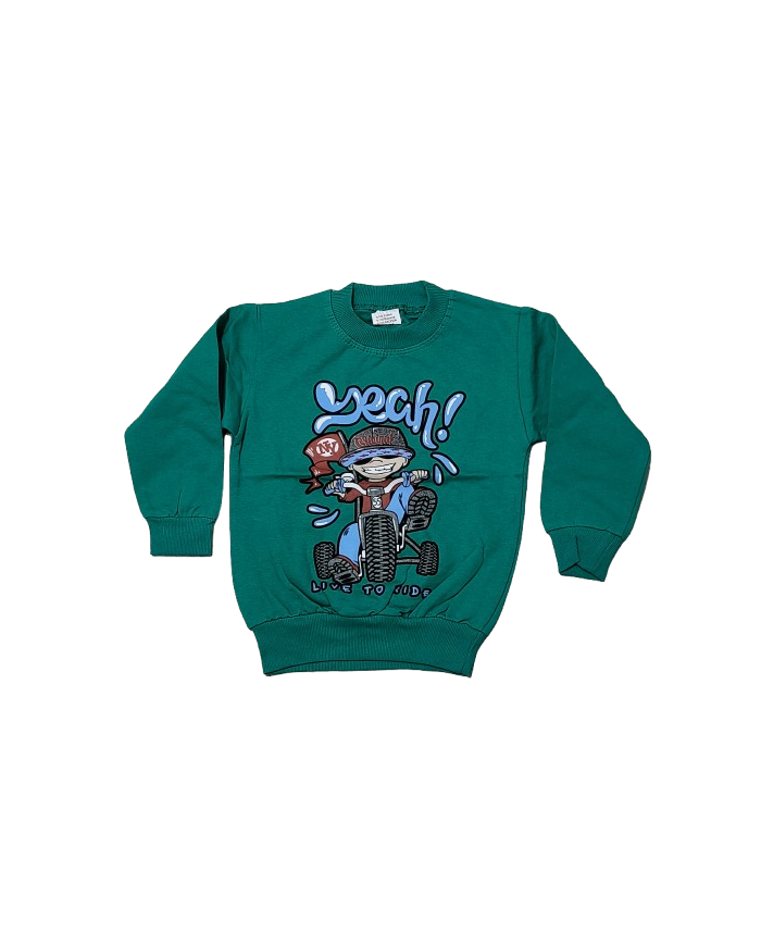 Bluze baieti, Live to Ride, usor vatuite, verde, 3-8 ani