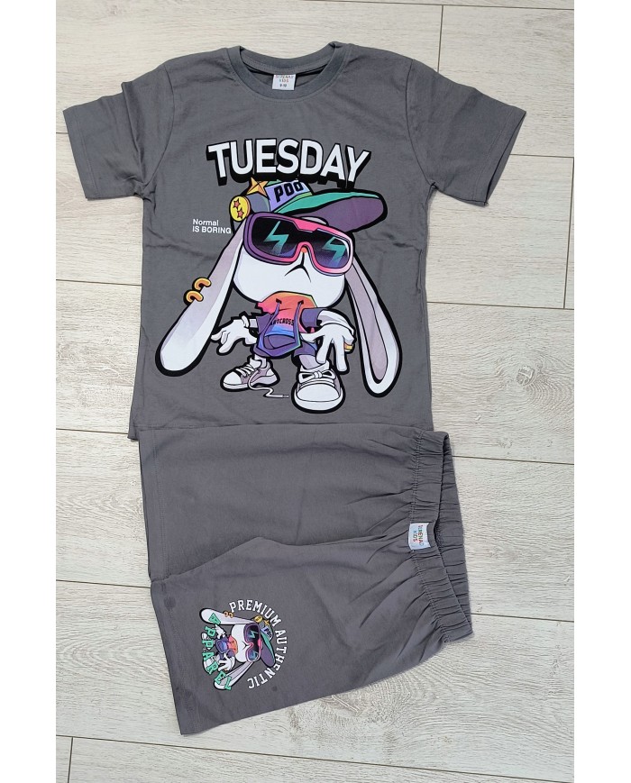 Compleu copii TUESDAY, bumbac, 3-10 ani, gri
