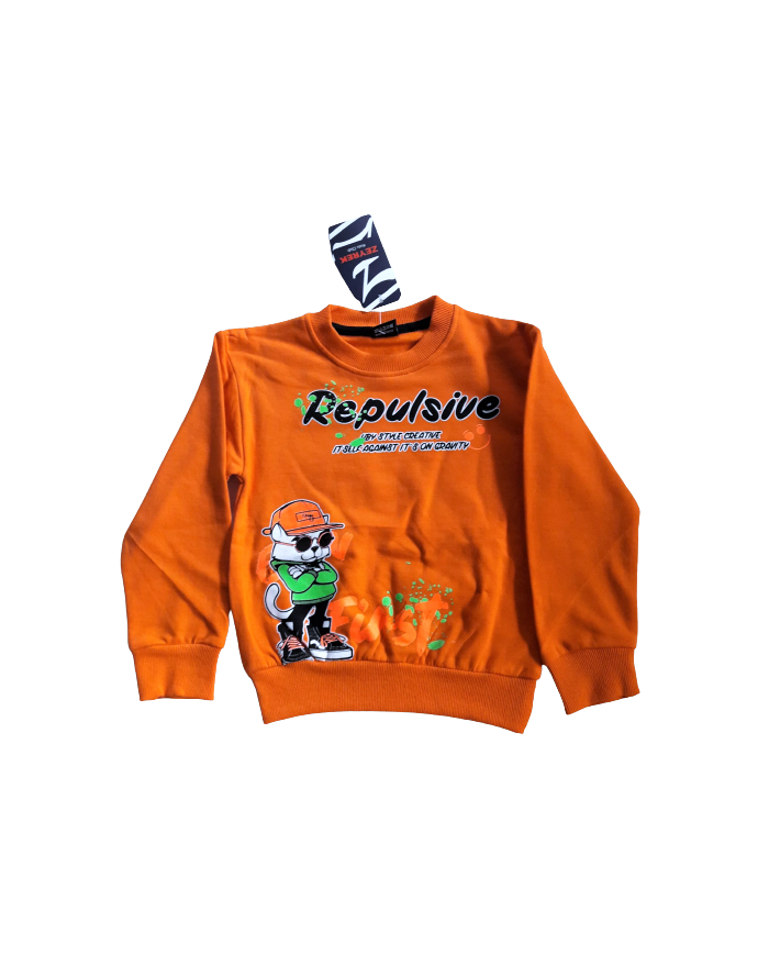 Bluză băieți ușor vătuită